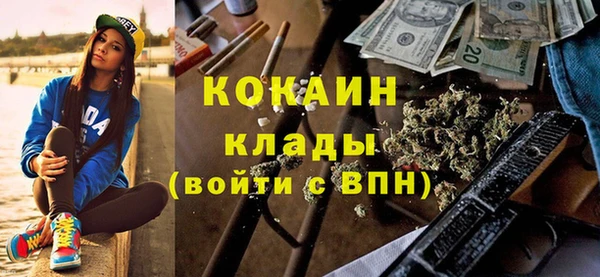 МДПВ Алзамай