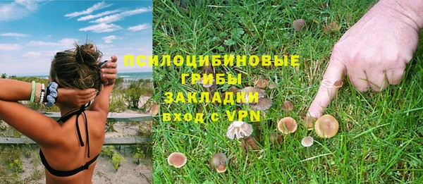 МДПВ Алзамай