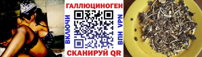 shop Telegram  Островной  Псилоцибиновые грибы Magic Shrooms 